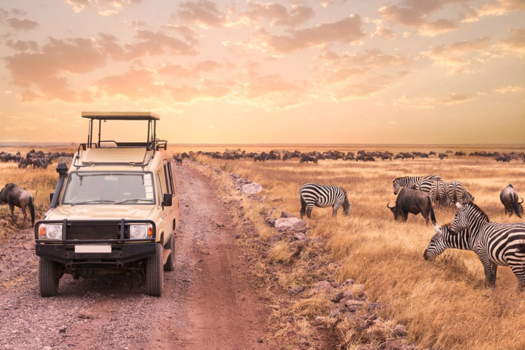 Safari with our boutique is an exclusive journey into the heart of Tanzania, where we excel in tailoring each adventure to your unique preferences, ensuring a personalized and luxurious experience.