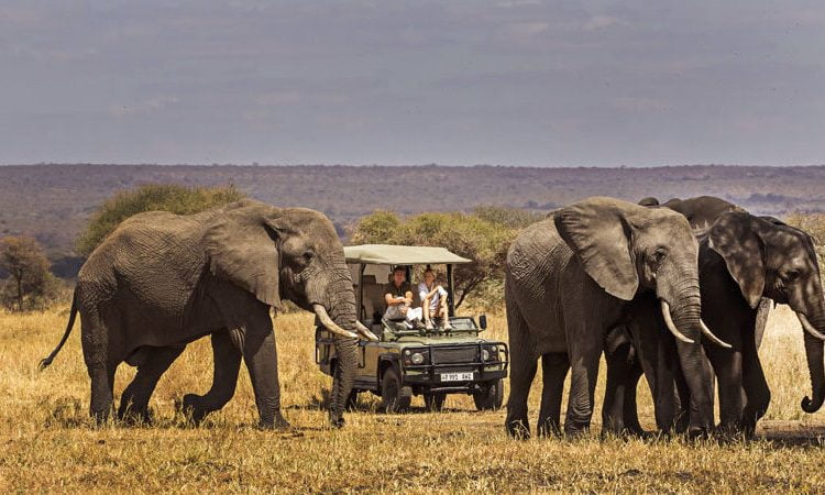 Plan your safari with Endito Nagol Adventure-safari: Unforgettable journeys through Tanzania's iconic landscapes and wildlife.