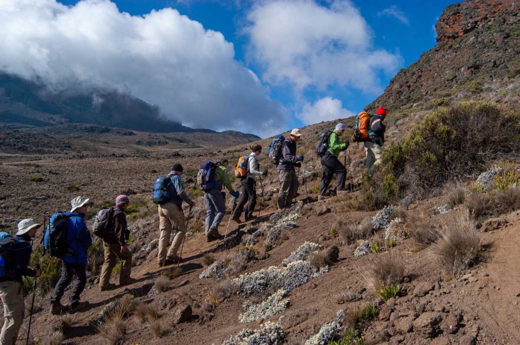 Safari with our boutique is an exclusive journey into the heart of Tanzania, where we excel in tailoring each adventure to your unique preferences, ensuring a personalized and luxurious experience.